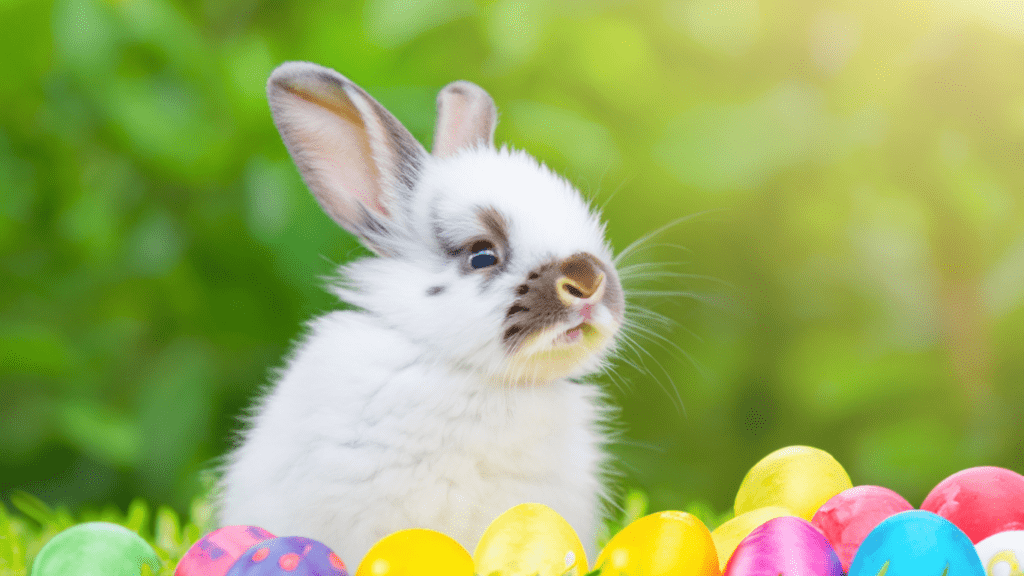 An Easter bunny is sitting in the grass surrounded by colorful eggs