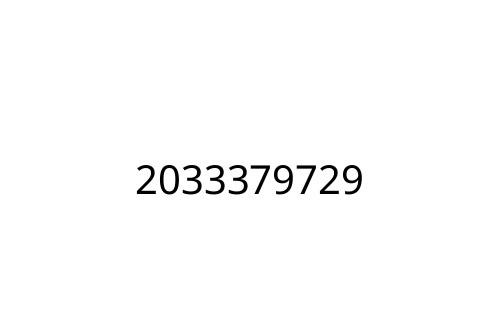 2033379729
