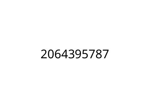 2064395787