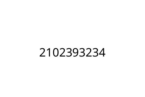 2102393234