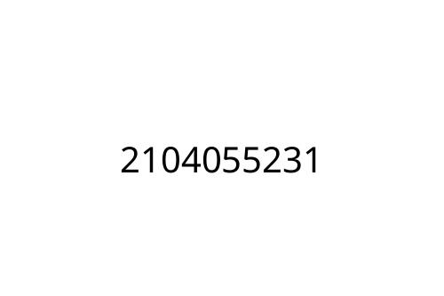 2104055231