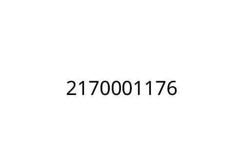 2170001176