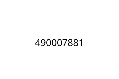 490007881