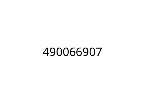 490066907