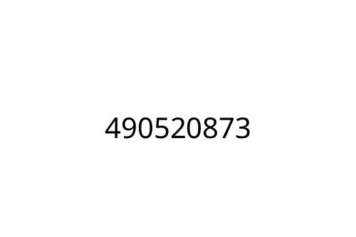 490520873