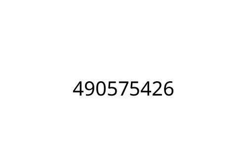 490575426