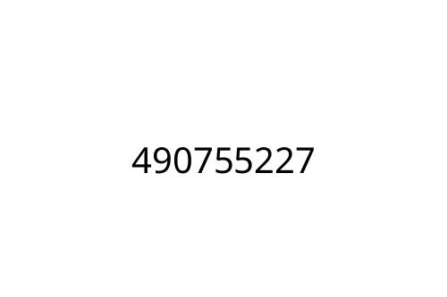 490755227