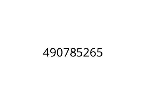 490785265