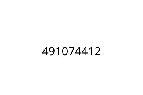 491074412