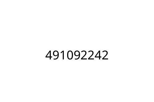 491092242