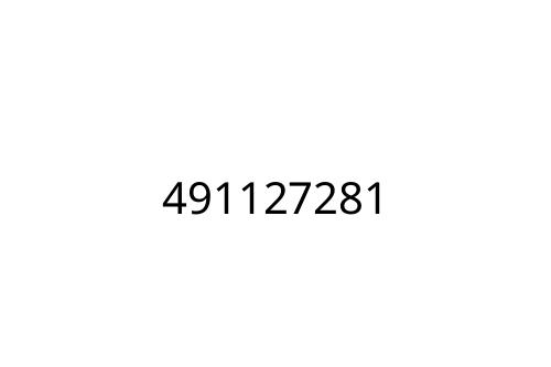 491127281