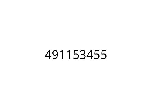 491153455