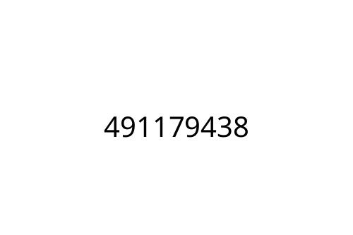 491179438