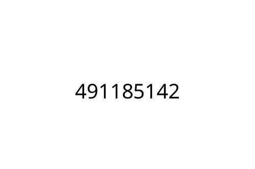 491185142