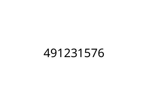 491231576