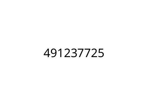 491237725
