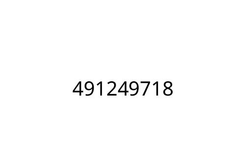 491249718