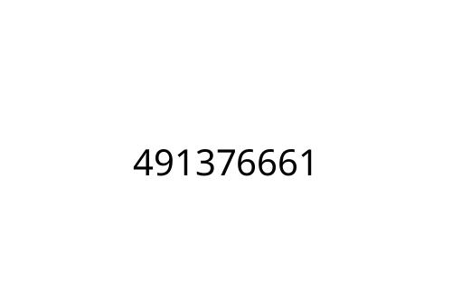 491376661