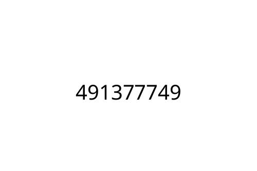 491377749