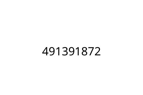 491391872