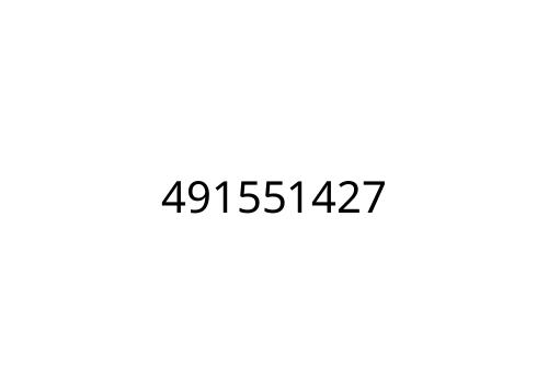 491551427