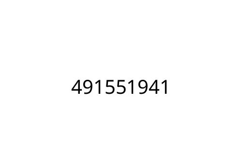 491551941