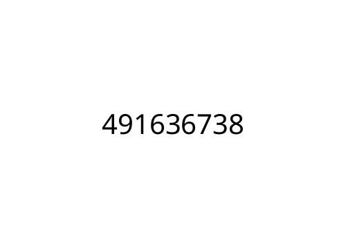 491636738