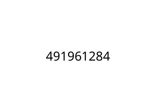 491961284