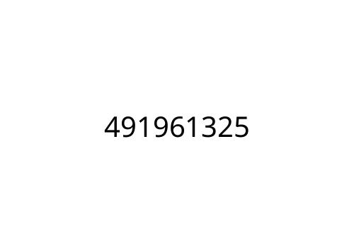 491961325