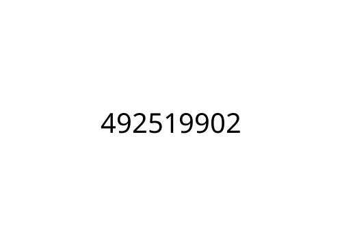 492519902