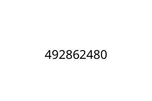 492862480