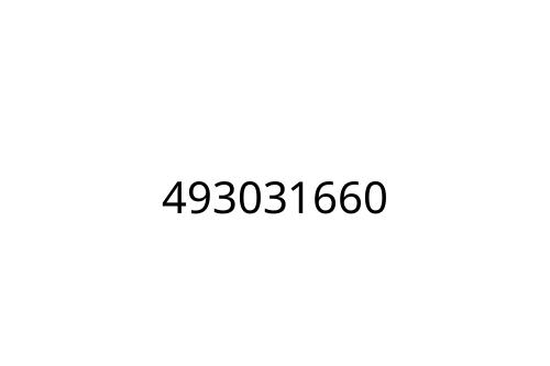 493031660