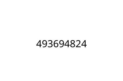 493694824