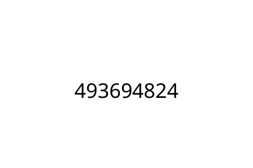 493694824