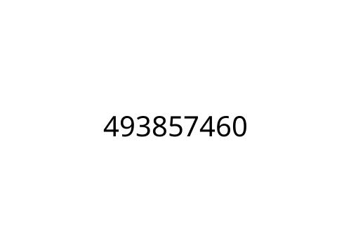 493857460