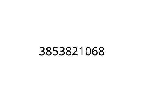 3853821068