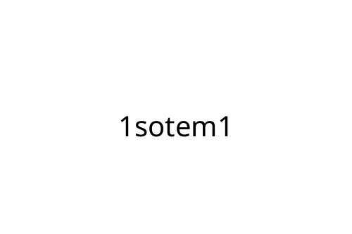 1sotem1