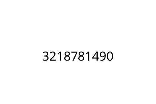 3218781490