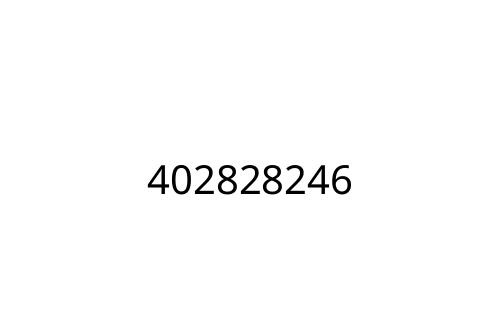 402828246
