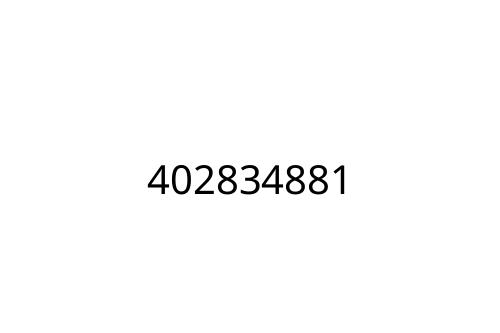 402834881