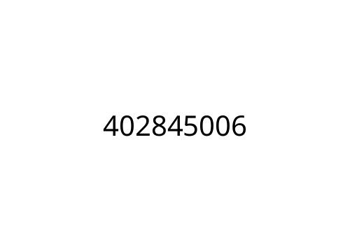 402845006