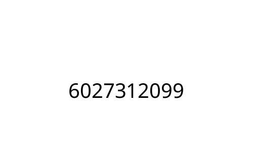 6027312099