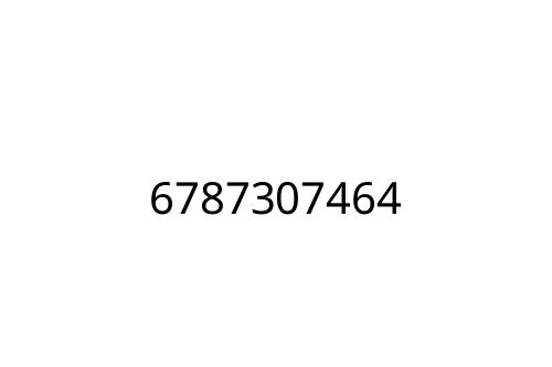 6787307464