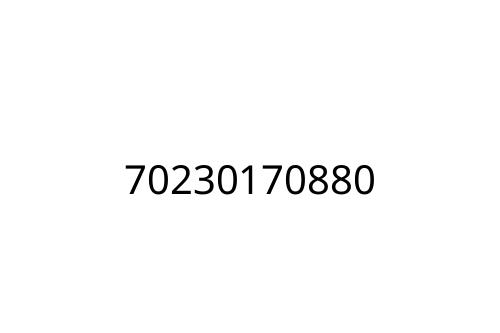 70230170880