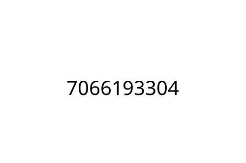 7066193304