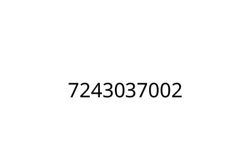 7243037002