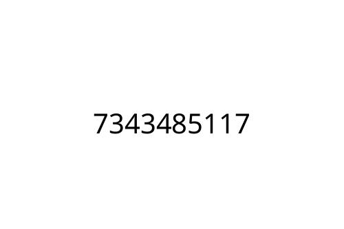 7343485117