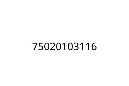 75020103116