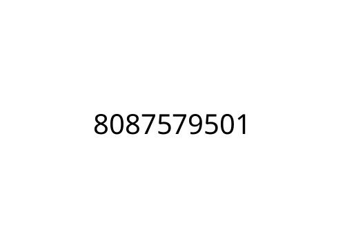 8087579501