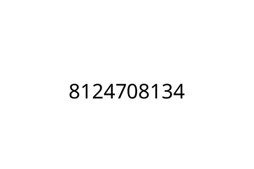 8124708134